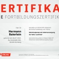 Bild vergrößern: certificate 3
