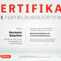 Bild vergrößern: certificate 8