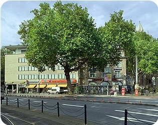 Dr. Michael Stember und Philip Simon   -0