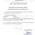 Bild vergrößern: certificate 6