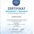 Bild vergrößern: certificate 3