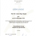 Bild vergrößern: certificate 6