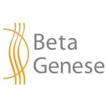 BetaGenese Klinik GmbH Privatklinik für interdisziplin. Psychosomatik und Psychiatrie 