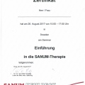 Bild vergrößern: certificate 39