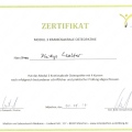 Bild vergrößern: certificate 1