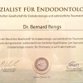 Bild vergrößern: certificate 1