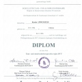 Bild vergrößern: certificate 5
