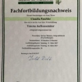 Bild vergrößern: certificate 13