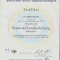 Bild vergrößern: certificate 8