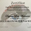 Bild vergrößern: certificate 1