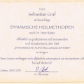 Bild vergrößern: certificate 7