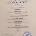 Bild vergrößern: certificate 1