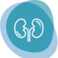 Praxis für Innere Medizin Dres. Alexander Gerschanik und Vera Hinke  