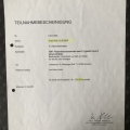 Bild vergrößern: certificate 11
