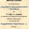 Bild vergrößern: certificate 23