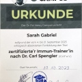 Bild vergrößern: certificate 3