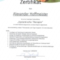 Bild vergrößern: certificate 3