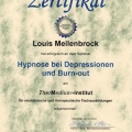 Bild vergrößern: certificate 1