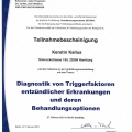 Bild vergrößern: certificate 45