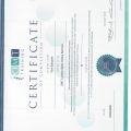 Bild vergrößern: certificate 16