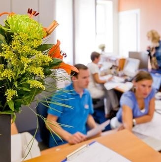 Dres. Horaczek/ Muskala / Bayerl-1