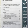 Bild vergrößern: certificate 1