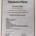 Bild vergrößern: certificate 31