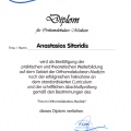 Bild vergrößern: certificate 10