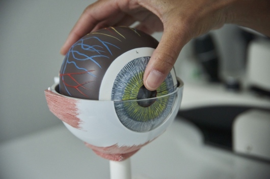 Augencentrum Südwest Partnerschaft   -1