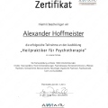 Bild vergrößern: certificate 7