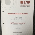 Bild vergrößern: certificate 5