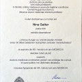 Bild vergrößern: certificate 17
