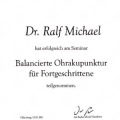 Bild vergrößern: certificate 2