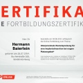 Bild vergrößern: certificate 6