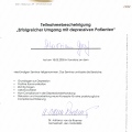 Bild vergrößern: certificate 33
