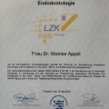Bild vergrößern: certificate 1