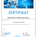 Bild vergrößern: certificate 8