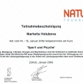 Bild vergrößern: certificate 4