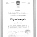 Bild vergrößern: certificate 11