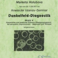Bild vergrößern: certificate 47