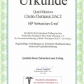 Bild vergrößern: certificate 13