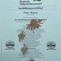Bild vergrößern: certificate 3