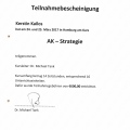Bild vergrößern: certificate 41