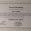 Bild vergrößern: certificate 17
