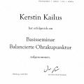 Bild vergrößern: certificate 1