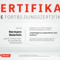 Bild vergrößern: certificate 12