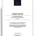 Bild vergrößern: certificate 6