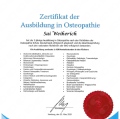 Bild vergrößern: certificate 1