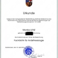 Bild vergrößern: certificate 1
