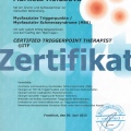 Bild vergrößern: certificate 6